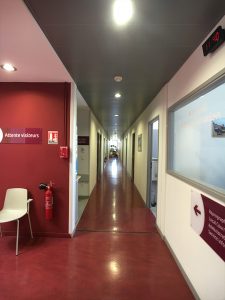 Rénovation Etablissement Français du Sang Couloir Mondial Peinture